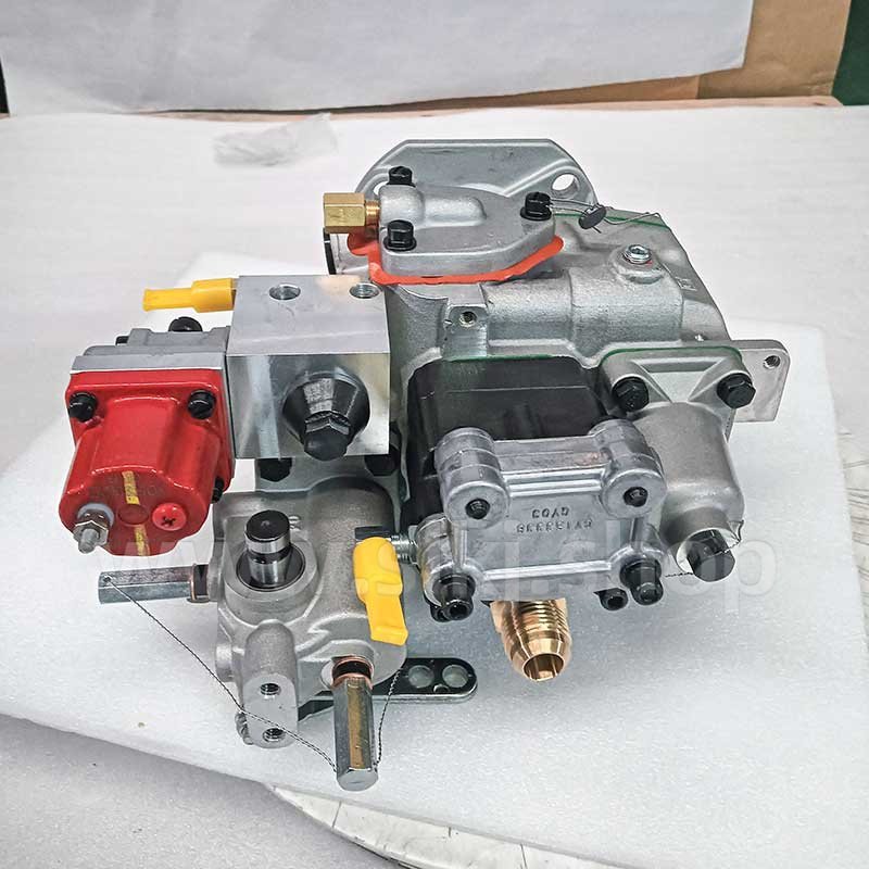 4951495 (1)